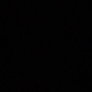 Meet your Posher, Carver